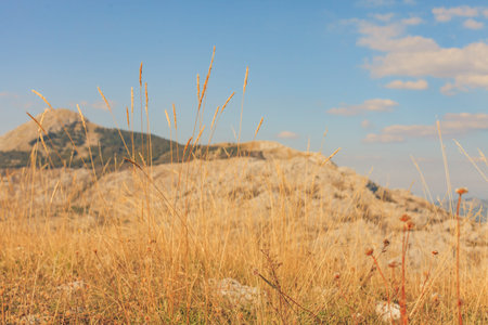 Panoramic landscape in sunset light, Rhodes Island - Greece. Image assembled from four horizontal...