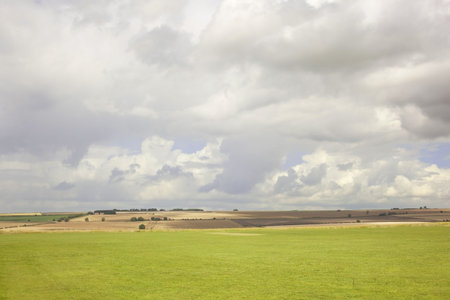 a view of fields and sky on a summers dayの写真素材