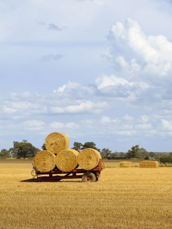 round bales on a red trailer at harvest time under a summer skyの写真素材