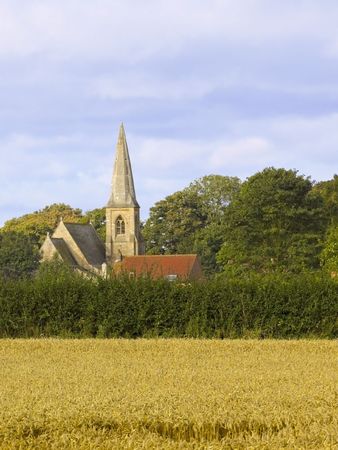 a view across a field of wheat to a church nestled amongst mature treesの写真素材