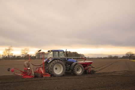 farmer sowing spring barley at sunsetの写真素材