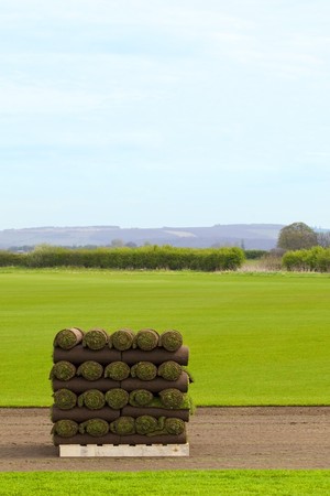a pallet of freshly cut turf rolled and stacked ready for sale in springtimeの写真素材