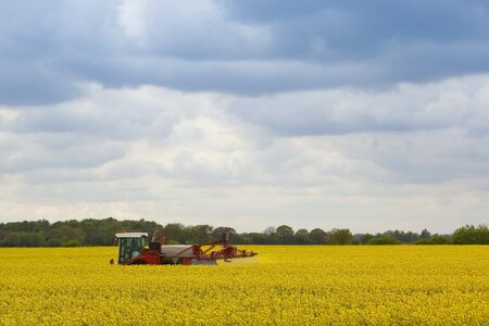a red and white crop sprayer treating a field of bright yellow rape seed on a cloudy eveningの写真素材