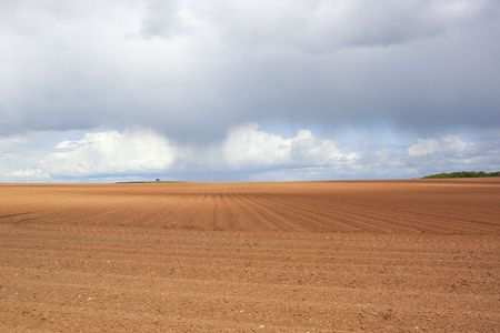 rain clouds over red soil texture and patterns of potato rowsの写真素材