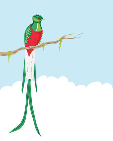 illustration of a resplendent quetzal sitting on a moss covered branch against a blue skyのイラスト素材