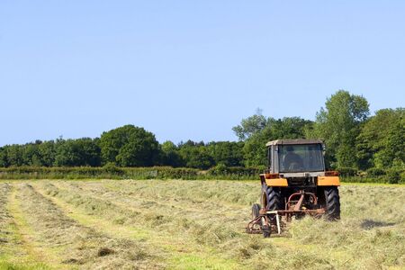 a yellow tractor turning hay in a field in summer under a blue skyの写真素材