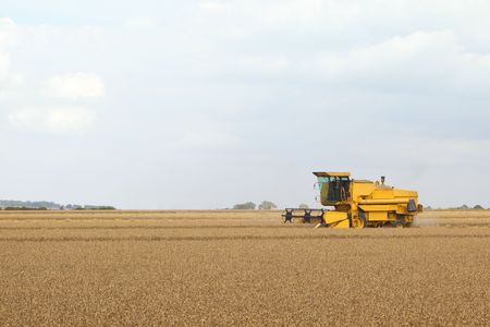 rural landscape with a yellow combine harvesting wheatの写真素材