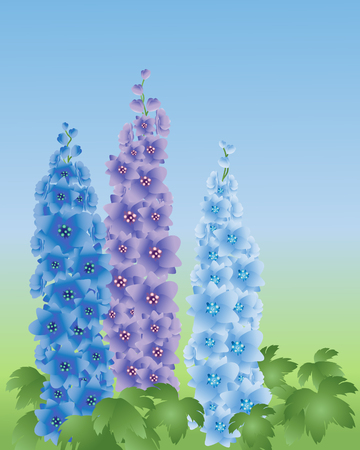 an illustration of three delphinium flower spikes in shades of blue on a green and blue backgroundのイラスト素材