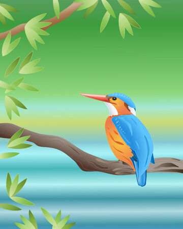 an illustration of a malachite kingfisher sitting on a branch by a riverのイラスト素材