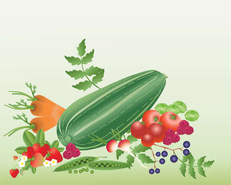 an illustration of a variety of fruit and vegetables with strawberries tomatoes and marrow on a pale green backgroundのイラスト素材