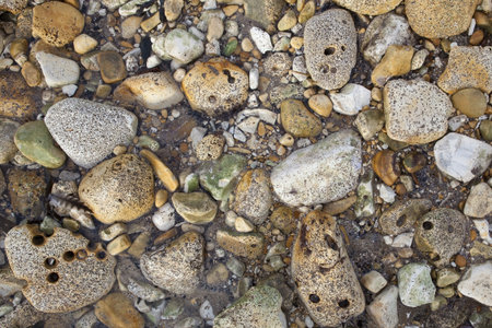 a close up of a variety of rocks and pebbles on a beach