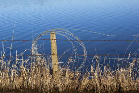 a barbed wire fence in flood waters with concrete post and dead grassesの写真素材
