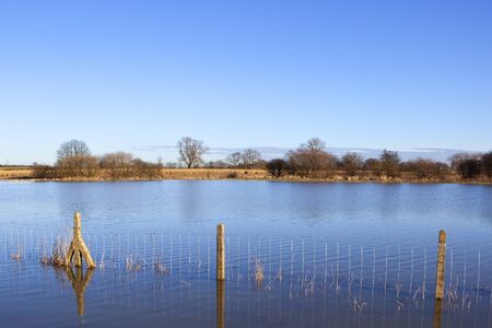 flooded fields with a wire fence and winter trees on the horizon under a blue skyの写真素材