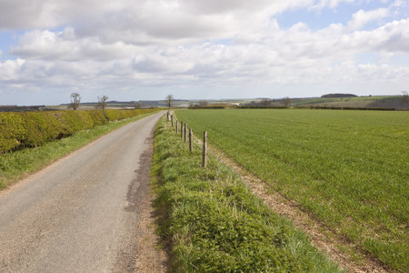 an english landscape with a quiet country road running through the patchwork fields of the yorkshire wolds under a cloudy april skyの写真素材