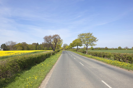 an english landscape with al country road running through farmland under a blue sky in springtimeの写真素材