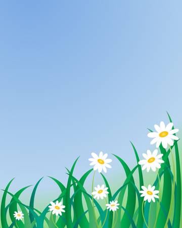 an illustration of grass and daisies under a clear blue skyのイラスト素材