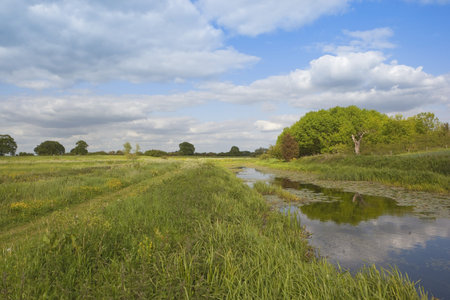 an english landscape and waterway with trees and aquatic plants under a blue springtime sky
