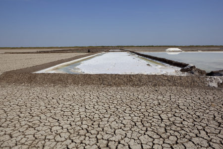 working salt pans on the little rann of kutch in gujarat india under a blue sky