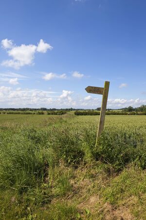 english summer landscape with a wooden footpath sign in the patchwork fields of the yorkshire woldsの写真素材