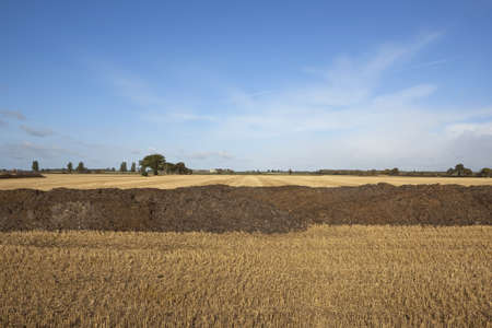an agricultural landscape in autumn with piles of manure ready to be spread on stubble fields under a blue skyの写真素材