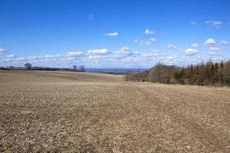 a big hillside stubble field in springtime in the yorkshire wolds england with a line of trees and a view of the vale of york under a blue sky with white fluffy cloudsの写真素材
