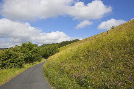 a small country yorkshire wolds road winding through wildflower pastures and trees under a blue sky...