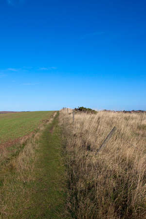 an autumn landscape with a rural footpath uphill by the grassy boundary of an arable field under a blue skyの写真素材