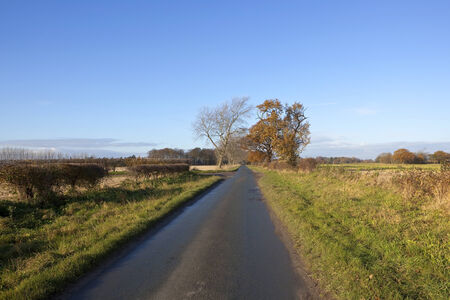 a small country road with trees and hedgerows in the vale of york under a clear blue sky in autumnの写真素材
