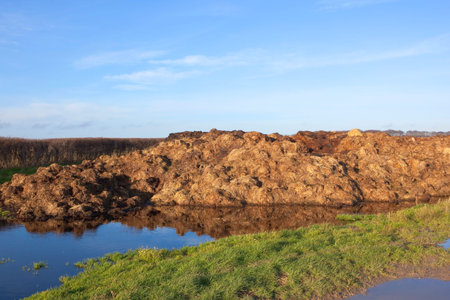english winter landscape with a pile of manure by a hedgerow with grass and blue sky reflected in...