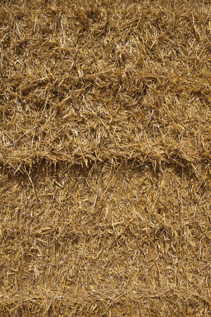 a background image of straw in a newly harvested bale in summer の写真素材