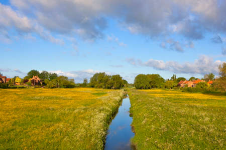 a stream running through water meadows in the rural village of stillingfleet yorkshire england with yellow buttercups under a blue sky in summerの写真素材