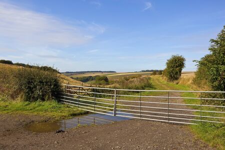a country bridleway with metal gate in the scenic yorkshire wolds england in late summerの写真素材
