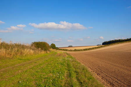 a scenic grassy bridleway in an agricultural landscape with hills and hedgerows under a blue sky in autumn in the yorkshire wolds englandの写真素材
