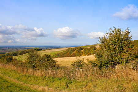 scenic meadows with a view of the vale of york england under a blue cloudy sky in autumnの写真素材
