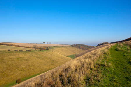horsedale valley grazing meadows with dry grasses trees and hedgerows under a clear blue sky in the yorkshire wolds in autumnの写真素材