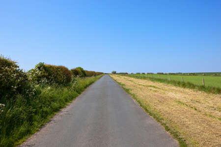 a country road in the yorkshire wolds with hawthorn hedgerows under a blue sky in summerの写真素材