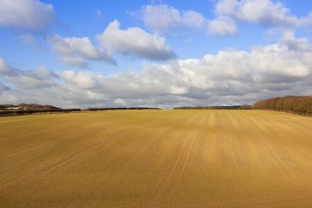 an extensive cultivated hillside field with autumn woodland in a yorkshire wolds landscape under a blue cloudy skyの写真素材