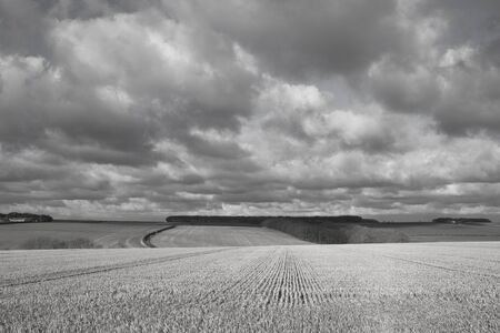 harvested fields with woods and hedgerows under a heavily clouded sky in a yorkshire wolds landscape in autumnの写真素材