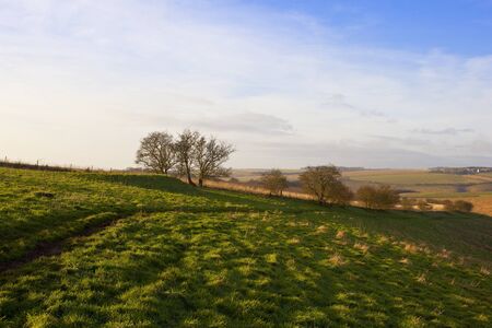 a footpath through a green meadow with a collapsed burial mound on a hillside in a yorkshire wolds landscape in winterの写真素材