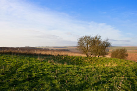 a hillside burial mound with hedgerows and dry grasses on a valley slope in a yorkshire wolds landscape under a blue cloudy sky in winterの写真素材