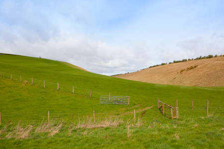 rolling lush green meadows with gates and fencing in the yorkshire wolds under a blue cloudy sky in springtimeの写真素材