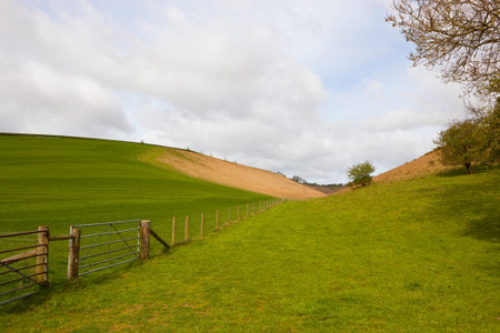a green valley in the yorkshire wolds with undulating lush meadows for grazing and fencing with...