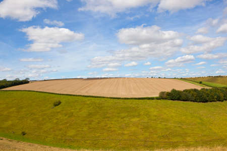 a green hillside grazing meadow near stubble fields and woodland under a blue summer sky in the yorkshire woldsの写真素材