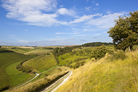 a green summer valley in the scenic yorkshire wolds with woodland grazing meadows and footpaths under a blue sky with white cloudの写真素材