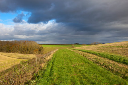 autumn woodland under stormy skies over agricultural land in the yorkshire wolds