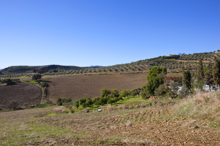 extensive olive groves and cultivated fields with mountain scenery under a blue sky in andalusia spainの写真素材
