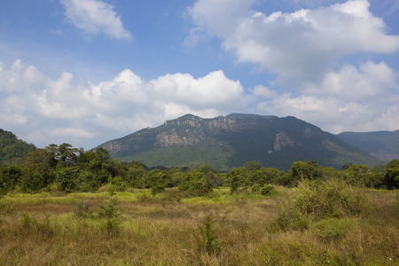 central sri lanka mountain landscape with tropical forest and wild grasses under a blue cloudy sky near ritigalaの写真素材