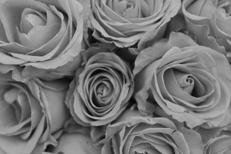 Rose Bouquetの写真素材