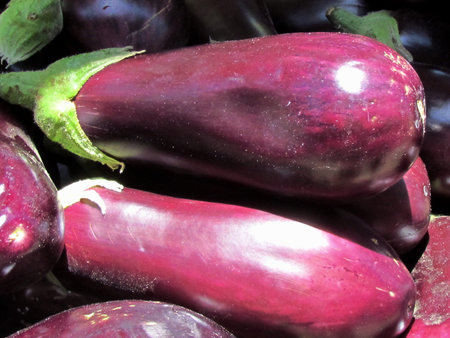  Large Eggplants on bazaar in Tel Aviv, Israel                                  