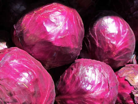 Fresh red cabbage on bazaar in Tel Aviv, Israelの写真素材